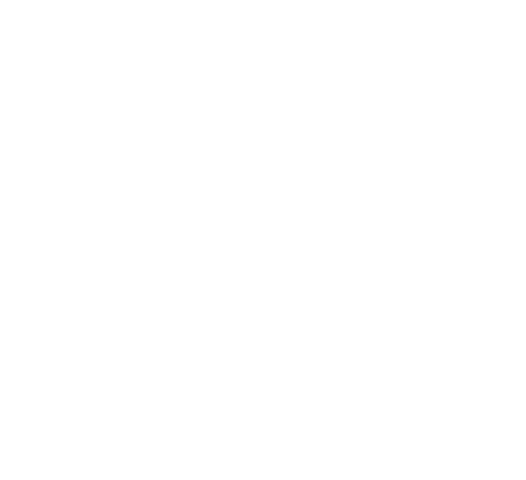 CrossFit Texas logo
